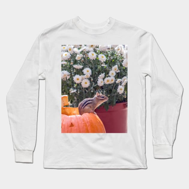 Tiny chipmunk on Halloween pumpkin Long Sleeve T-Shirt by iyd39